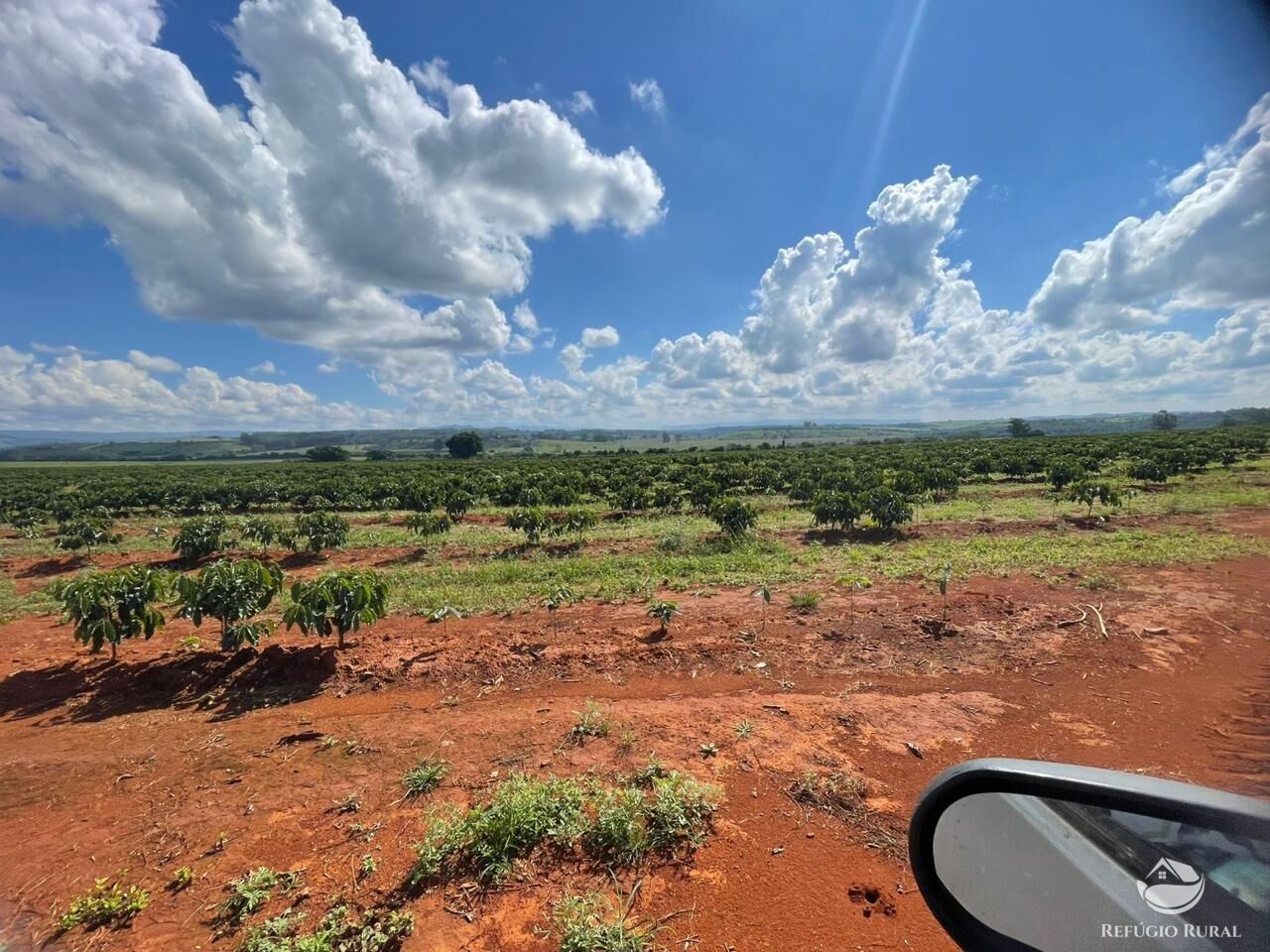 Fazenda, 130 hectares - Foto 11