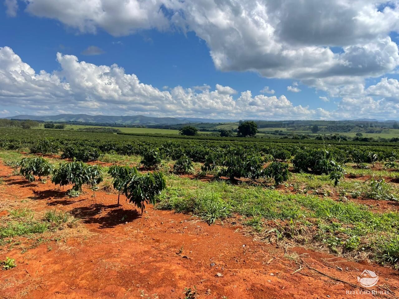 Fazenda, 130 hectares - Foto 1