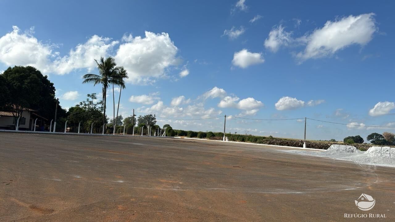 Fazenda, 130 hectares - Foto 7