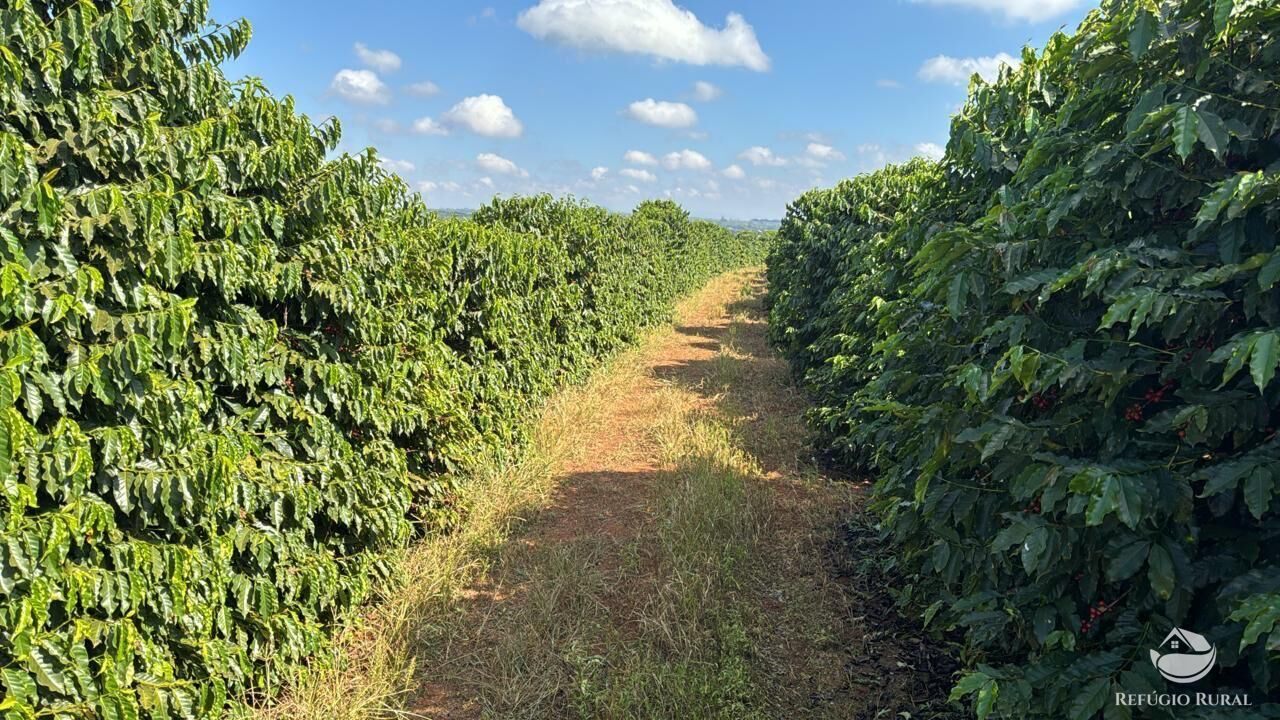 Fazenda, 130 hectares - Foto 2