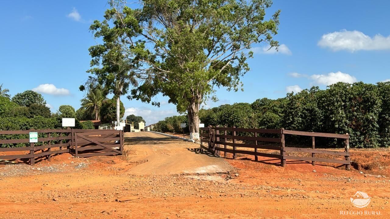 Fazenda, 130 hectares - Foto 9