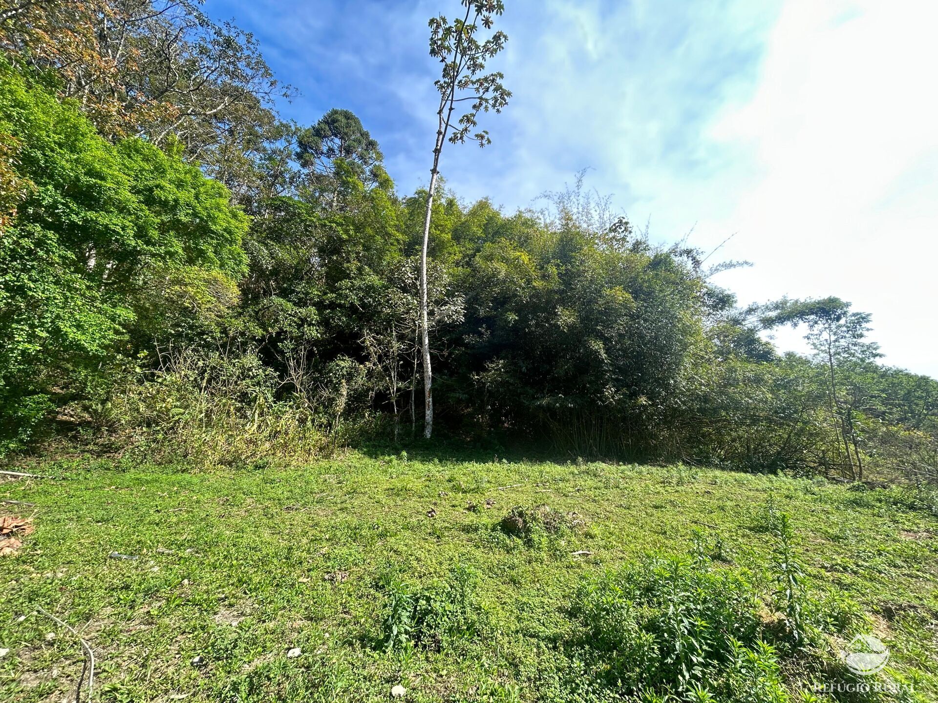 Chácara, 1 quarto, 2 hectares - Foto 43