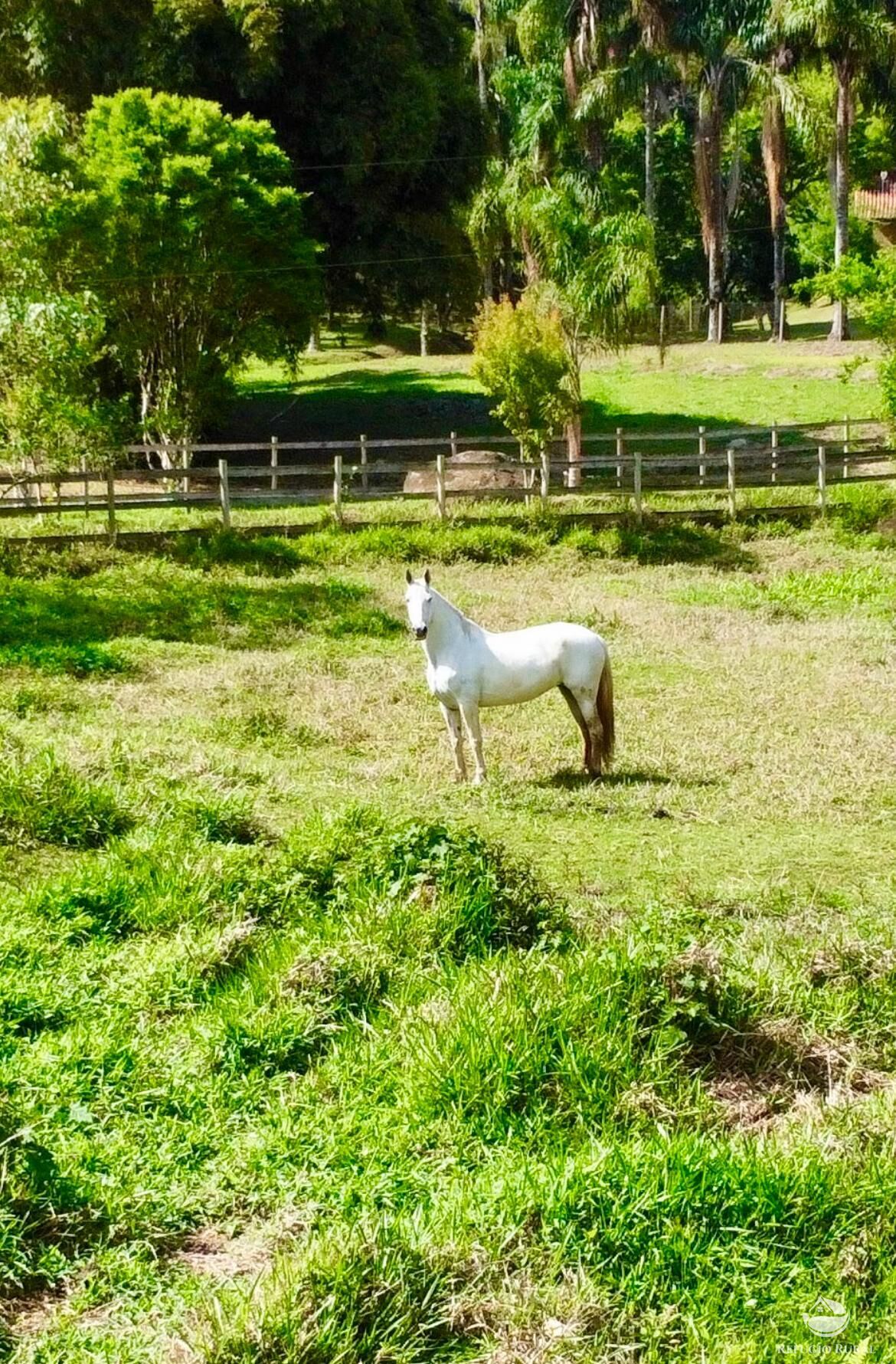Chácara, 1 quarto, 2 hectares - Foto 6