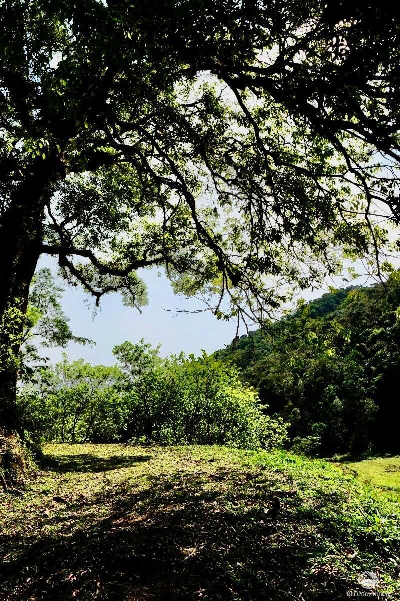 Chácara, 1 quarto, 2 hectares - Foto 16