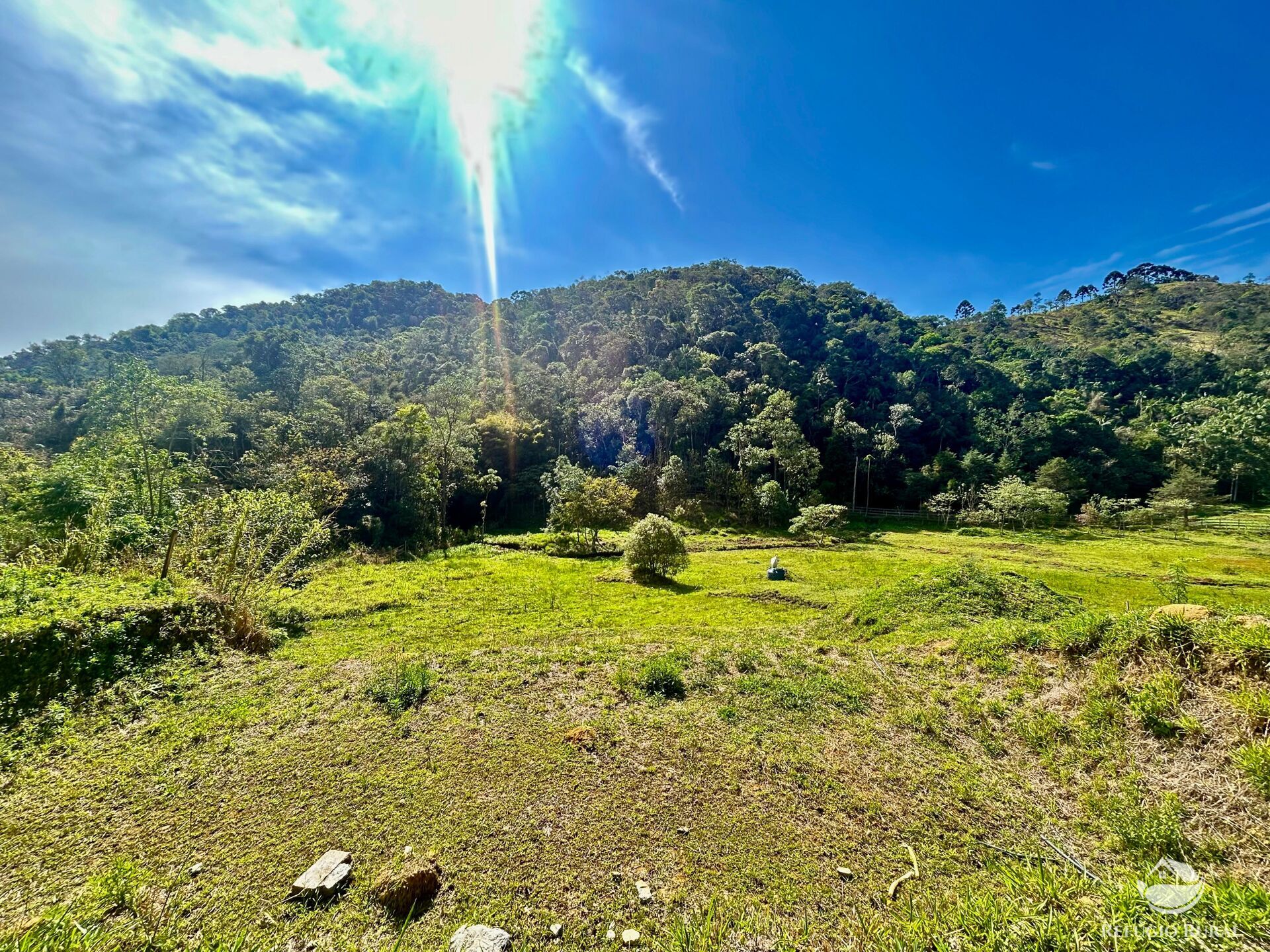 Chácara, 1 quarto, 2 hectares - Foto 42