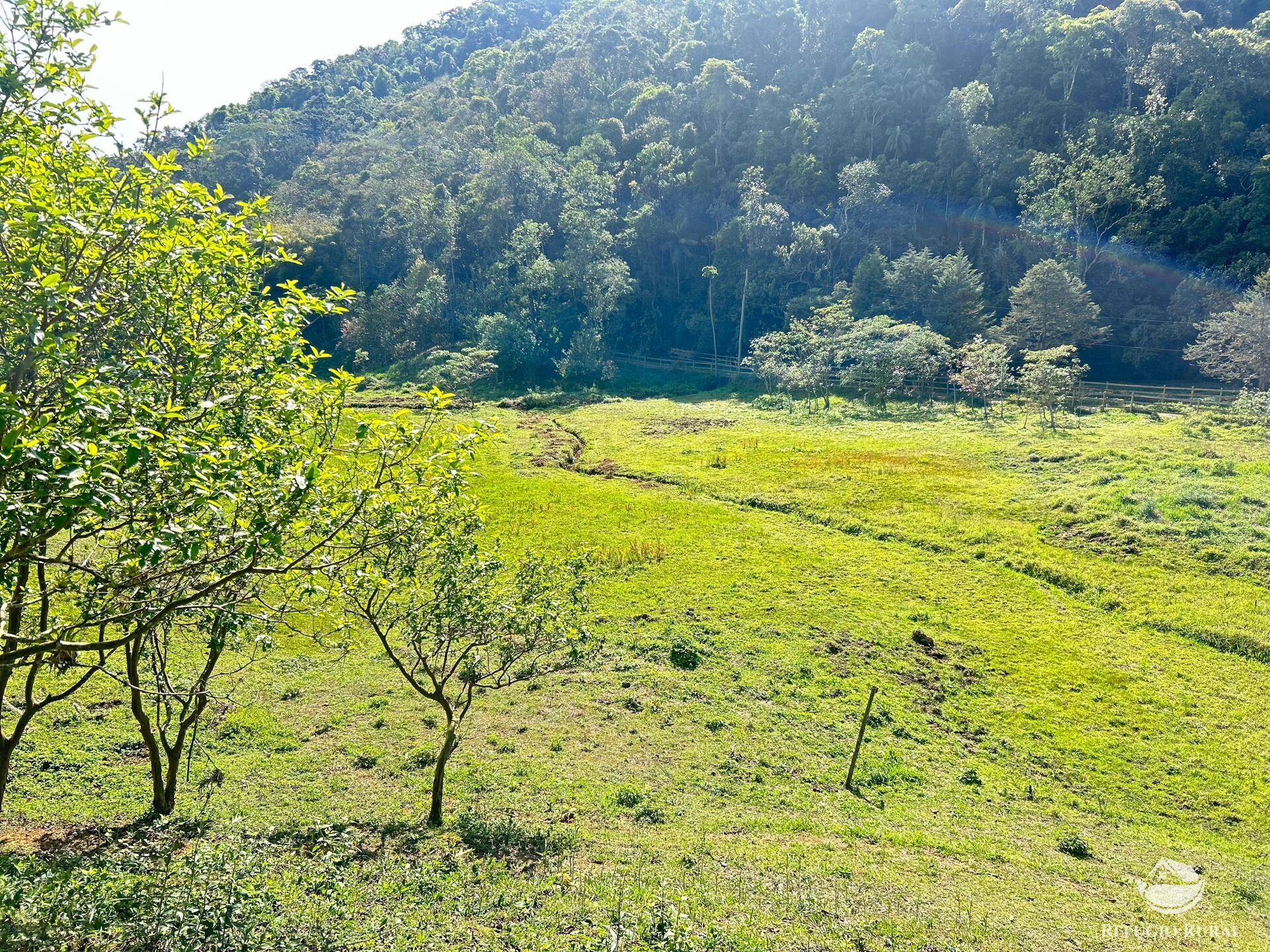 Chácara, 1 quarto, 2 hectares - Foto 50