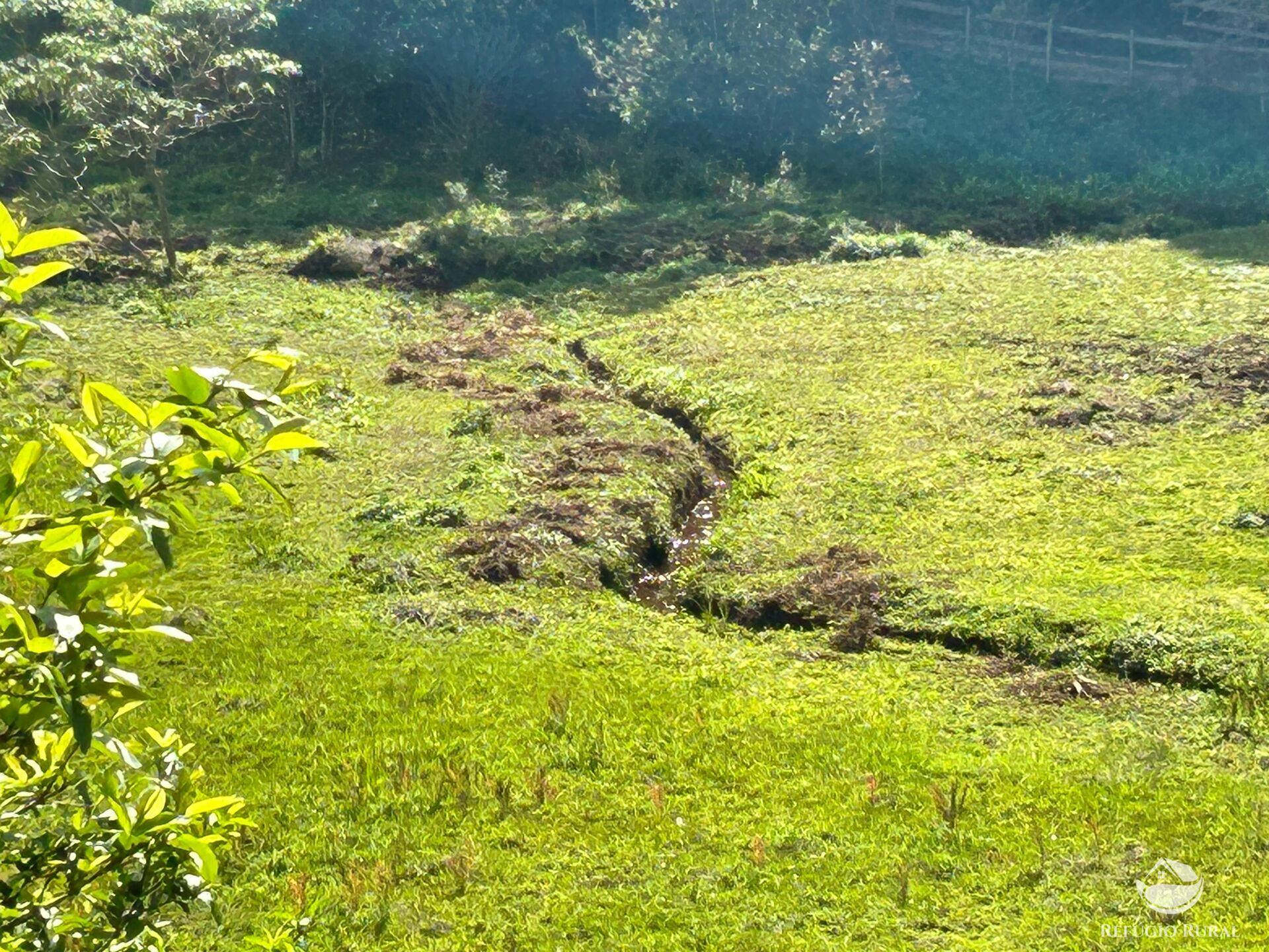 Chácara, 1 quarto, 2 hectares - Foto 48