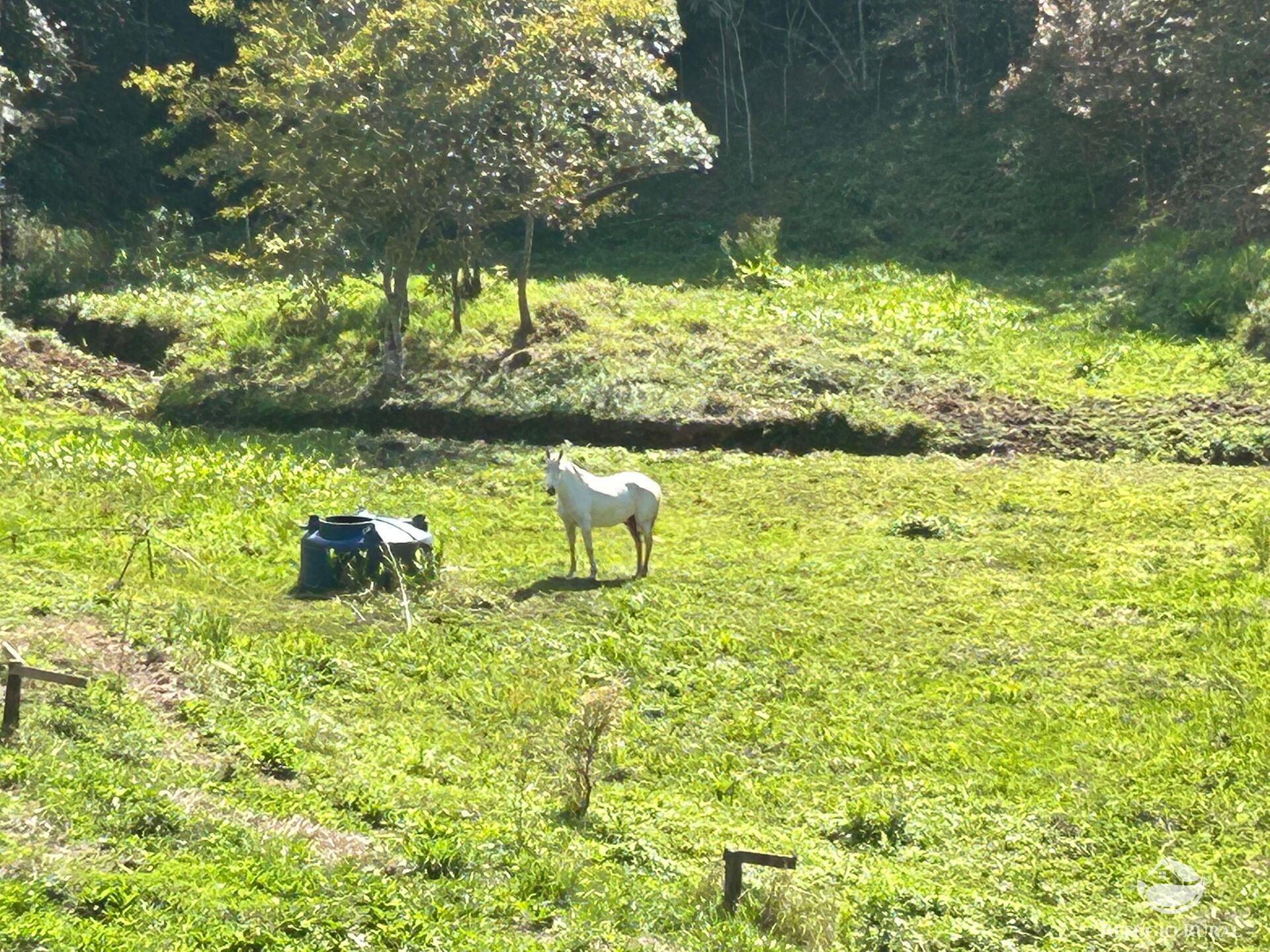 Chácara, 1 quarto, 2 hectares - Foto 47