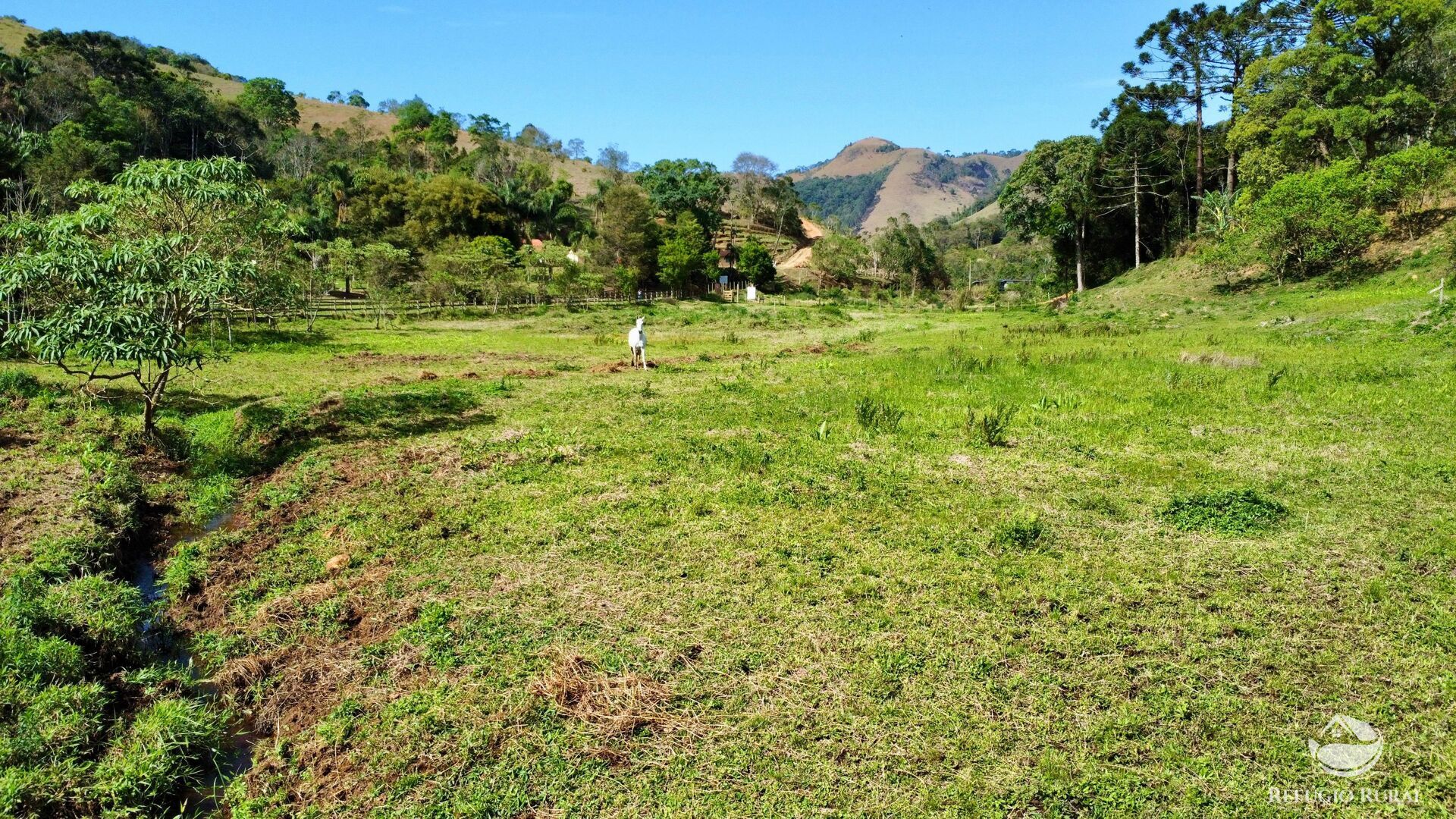 Chácara, 1 quarto, 2 hectares - Foto 37