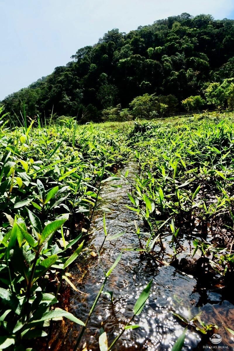 Chácara, 1 quarto, 2 hectares - Foto 14