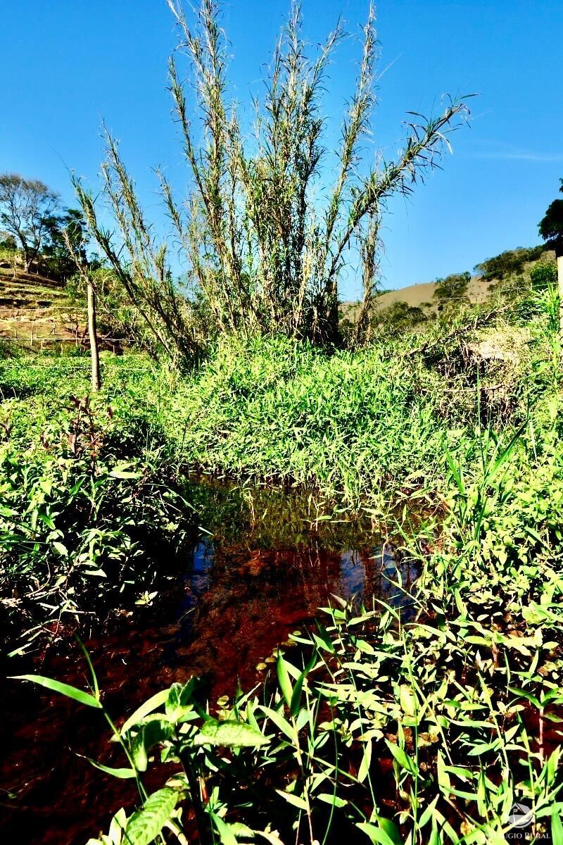 Chácara, 1 quarto, 2 hectares - Foto 7