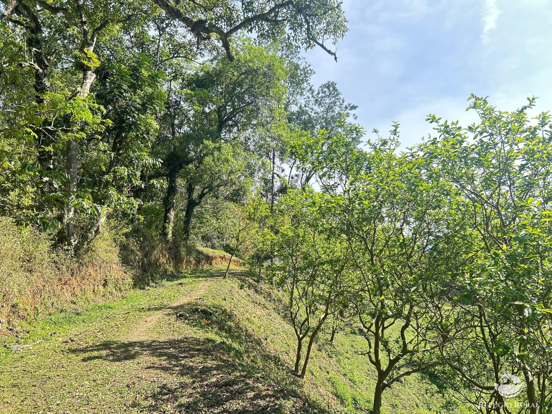 Chácara, 1 quarto, 2 hectares - Foto 49