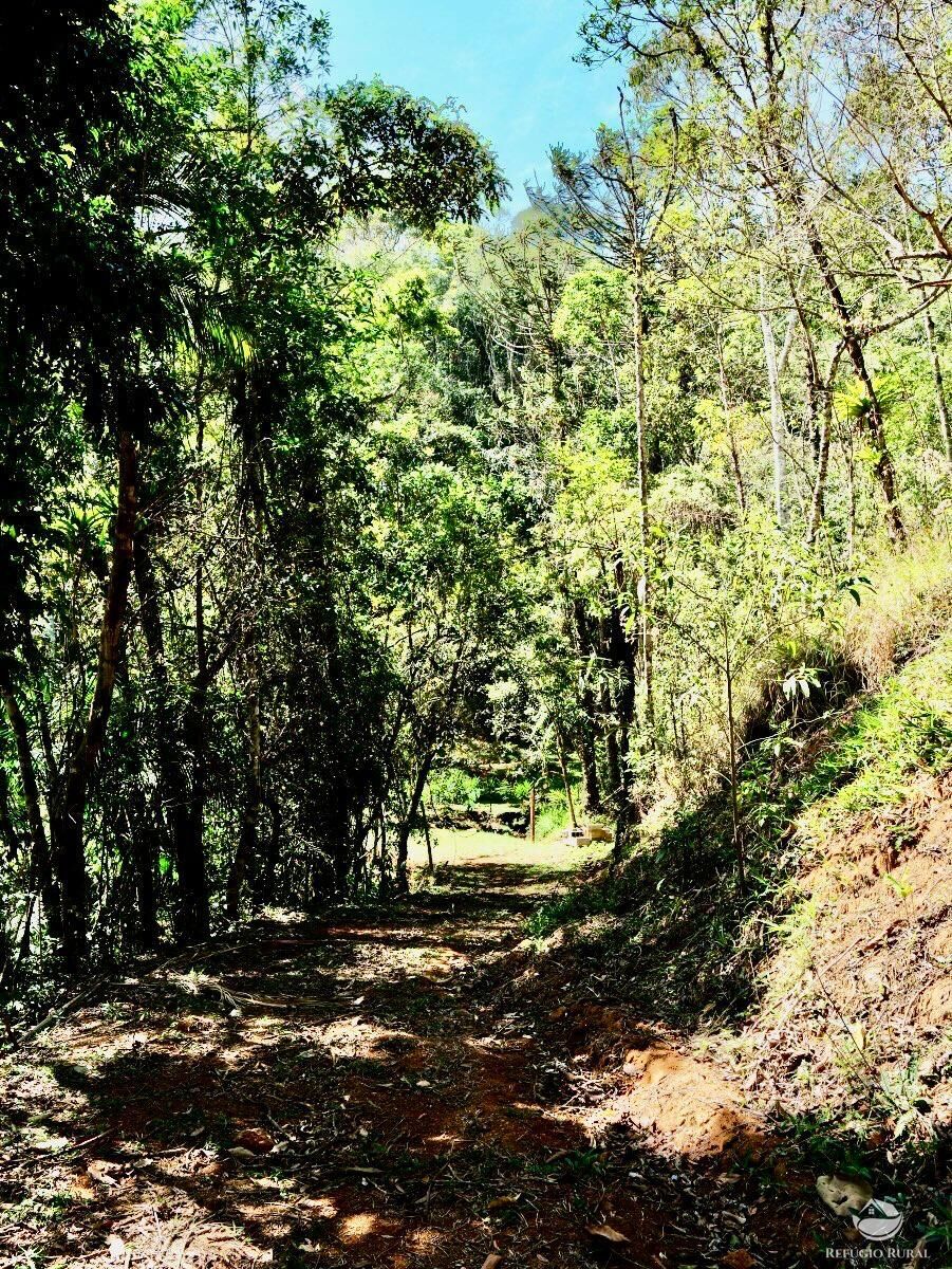 Chácara, 1 quarto, 2 hectares - Foto 21