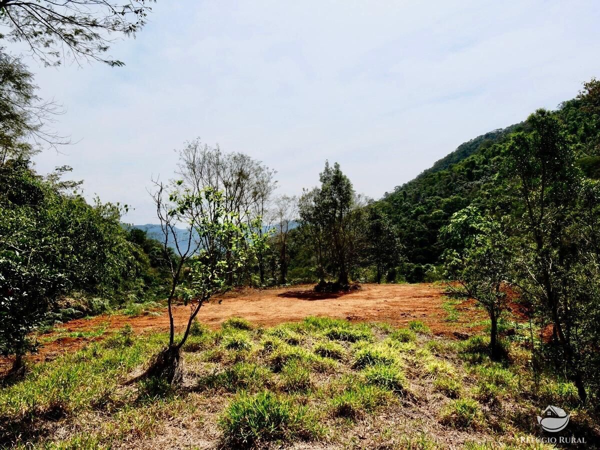 Chácara, 1 quarto, 2 hectares - Foto 20