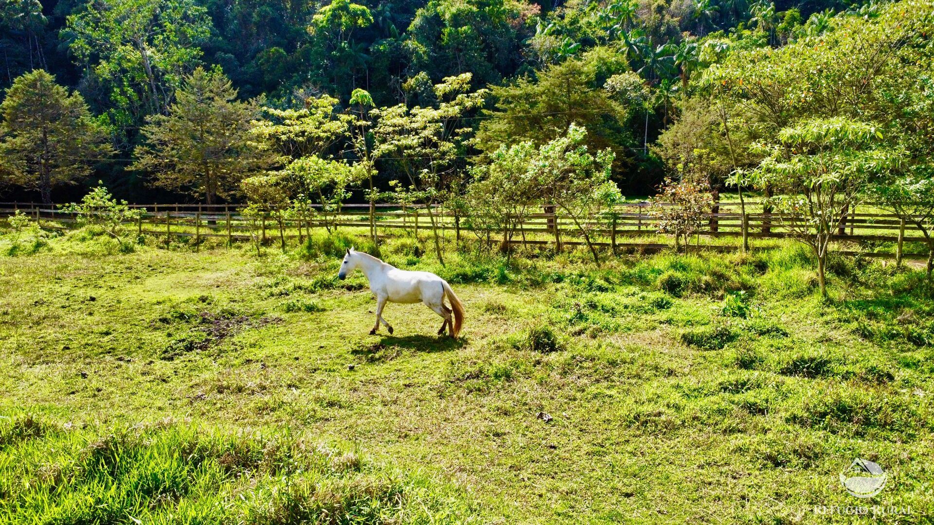 Chácara, 1 quarto, 2 hectares - Foto 29