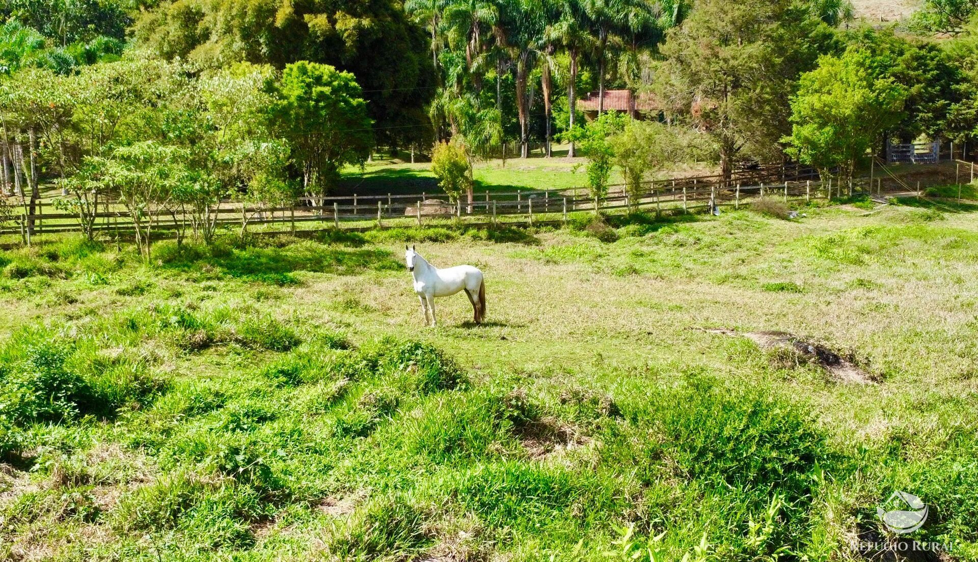 Chácara, 1 quarto, 2 hectares - Foto 30
