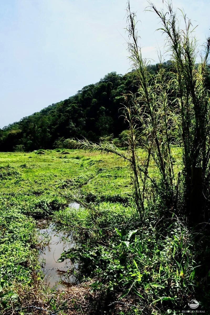 Chácara, 1 quarto, 2 hectares - Foto 13