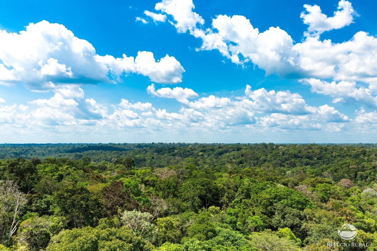 Fazenda à venda com 1 quarto, 691400000m² - Foto 3