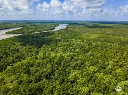 Fazenda à venda com 1 quarto, 691400000m² - Foto 6