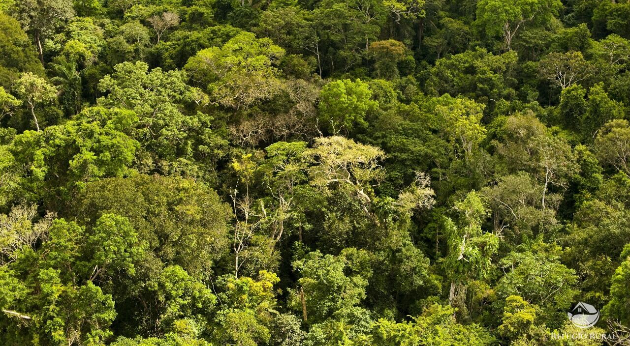 Fazenda à venda com 1 quarto, 691400000m² - Foto 5