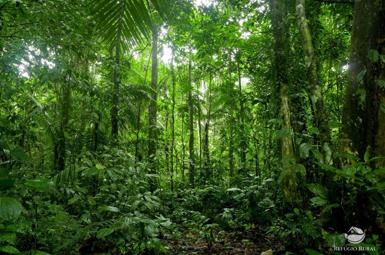 Fazenda à venda com 1 quarto, 691400000m² - Foto 2