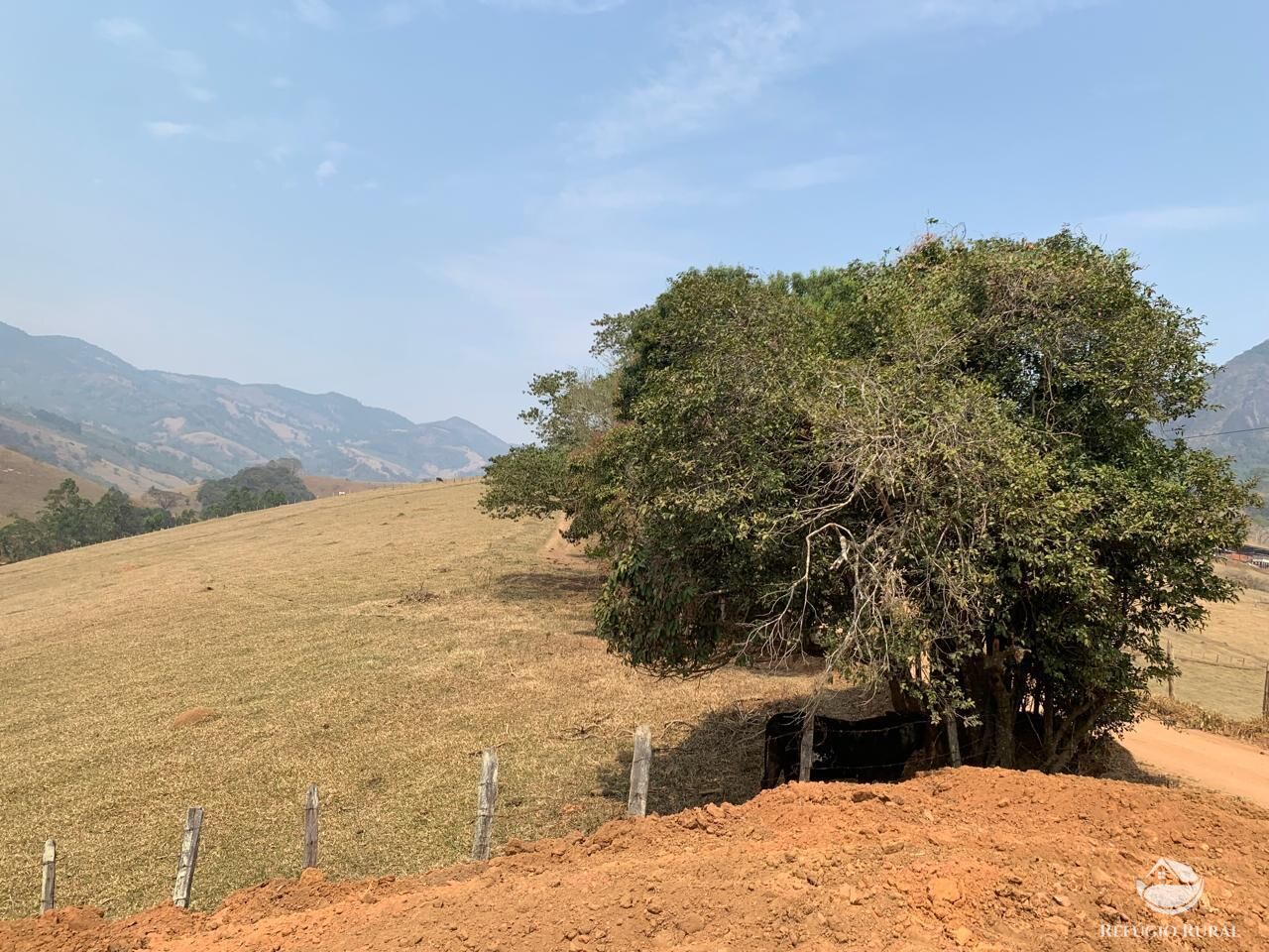 Fazenda à venda com 1 quarto, 1400m² - Foto 3