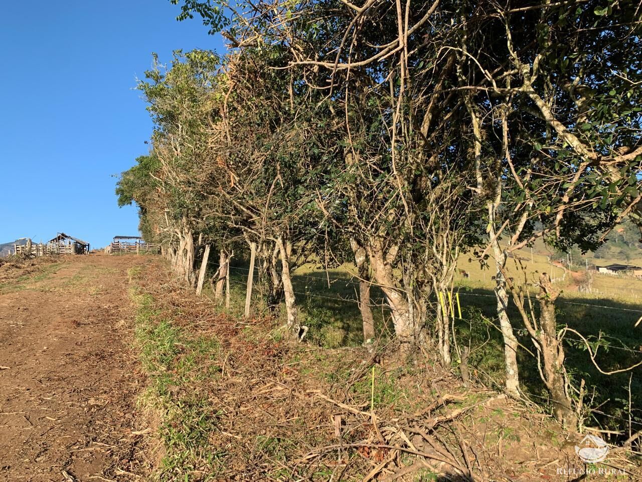 Fazenda à venda com 1 quarto, 1400m² - Foto 13