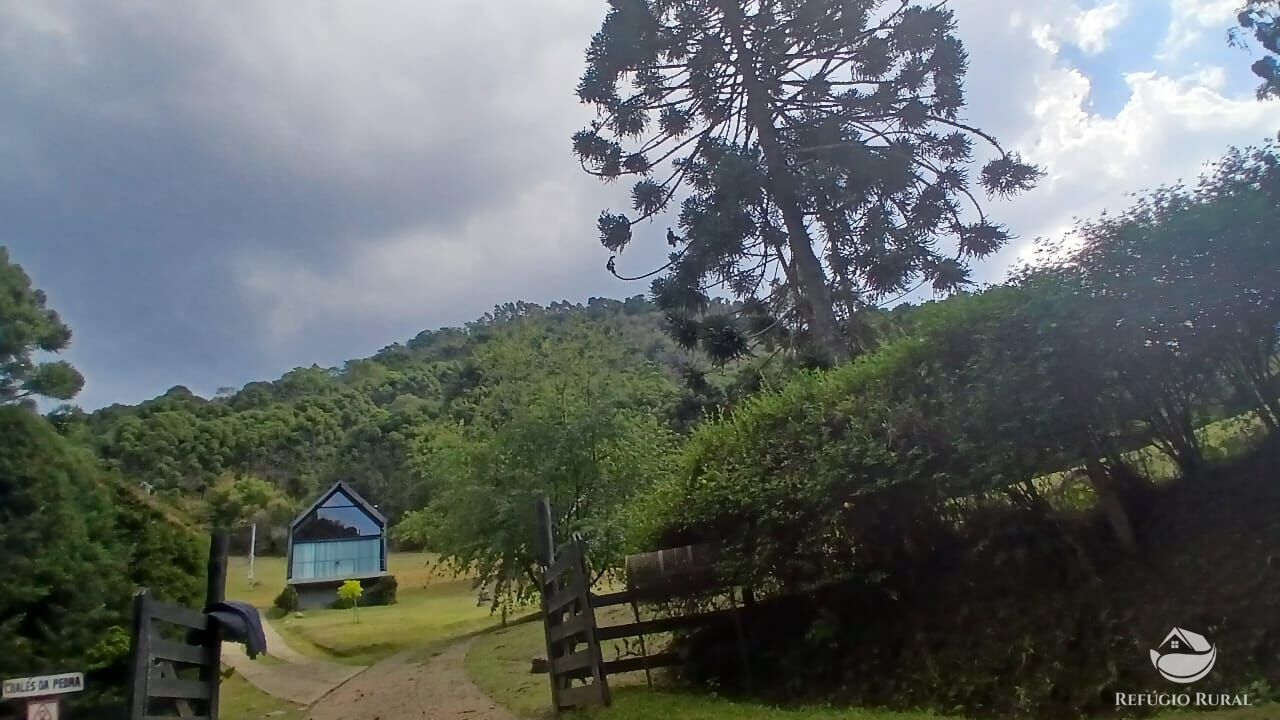 Chácara, 1 quarto, 2 hectares - Foto 30