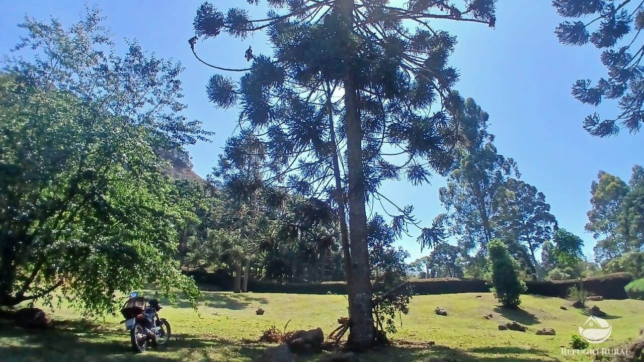 Chácara, 1 quarto, 2 hectares - Foto 34