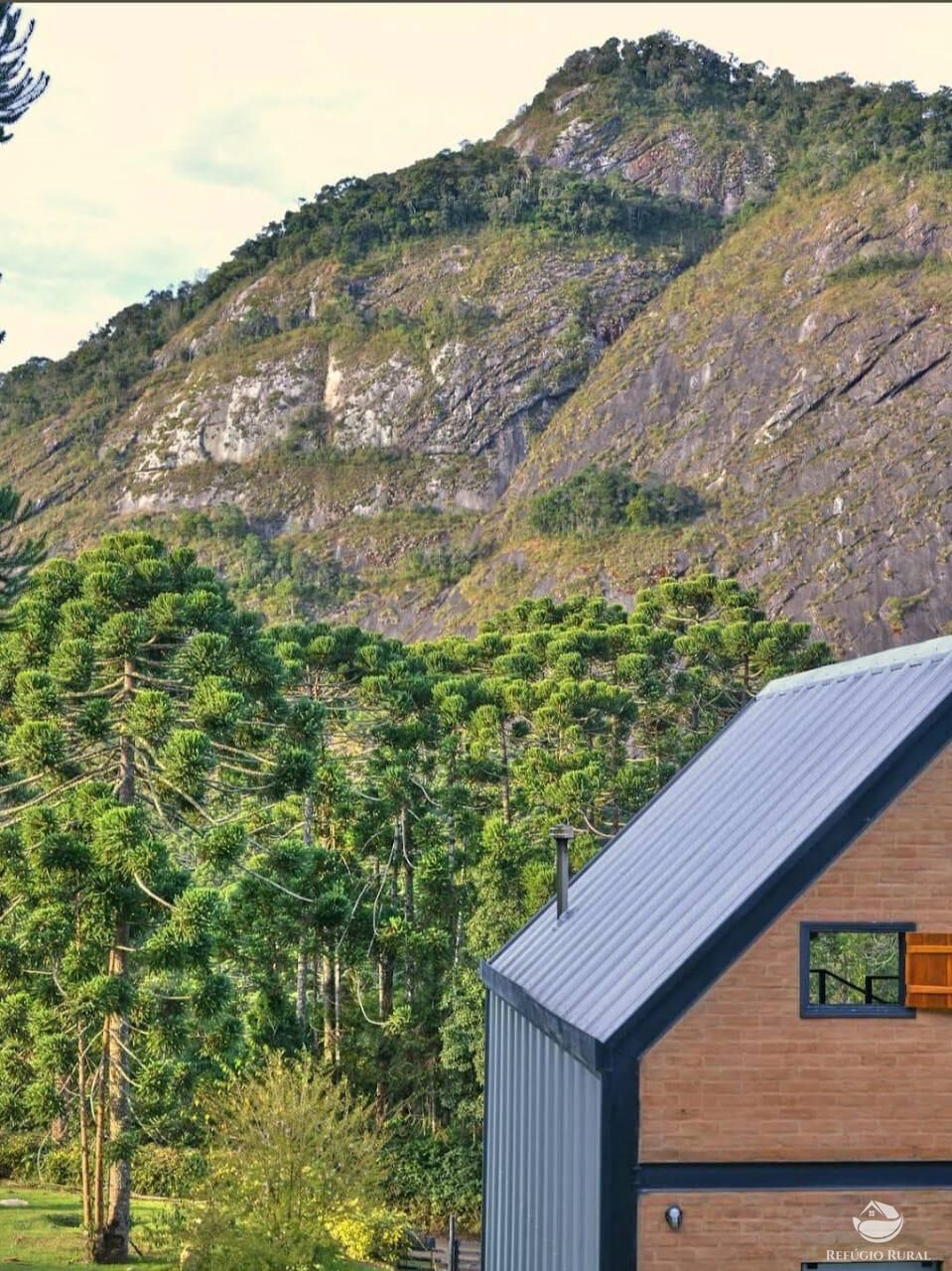 Chácara, 1 quarto, 2 hectares - Foto 10