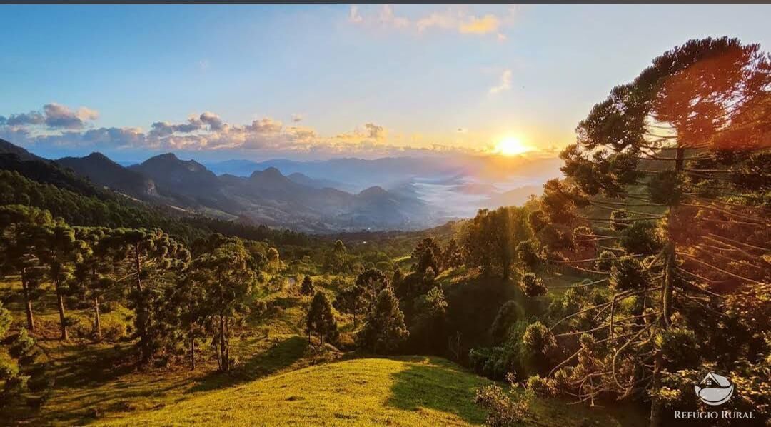 Chácara, 1 quarto, 2 hectares - Foto 8