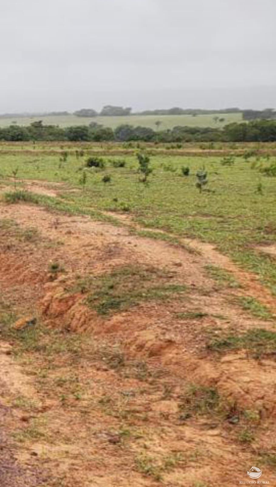 Fazenda à venda com 1 quarto, 12000000m² - Foto 1