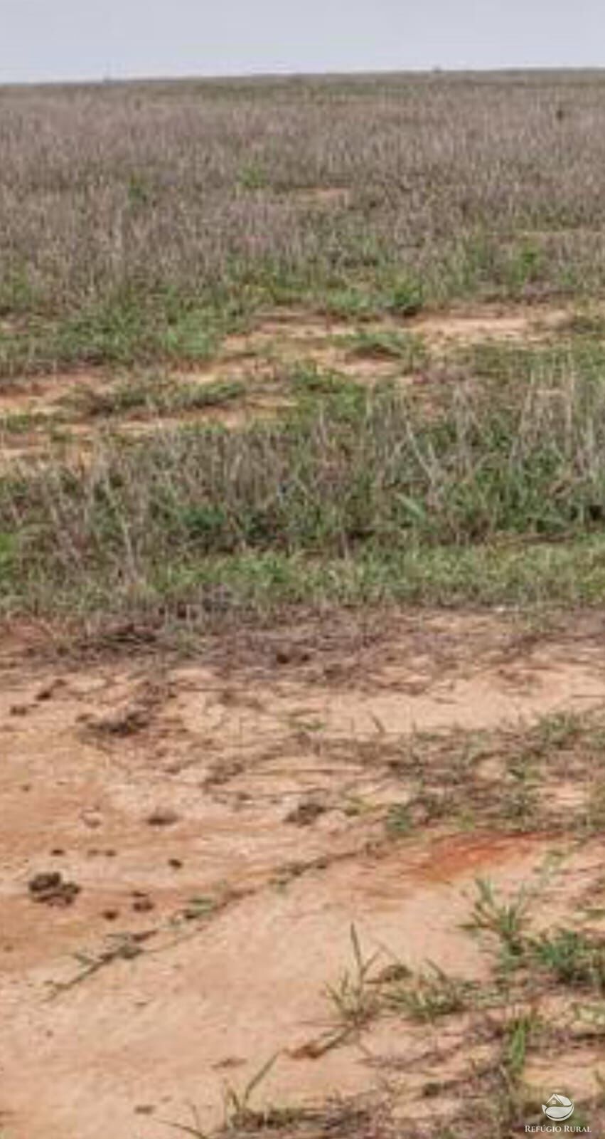 Fazenda à venda com 1 quarto, 12000000m² - Foto 5