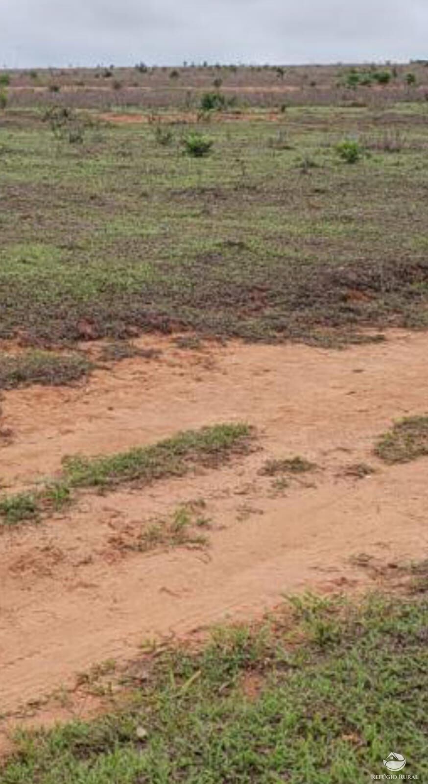 Fazenda à venda com 1 quarto, 12000000m² - Foto 7