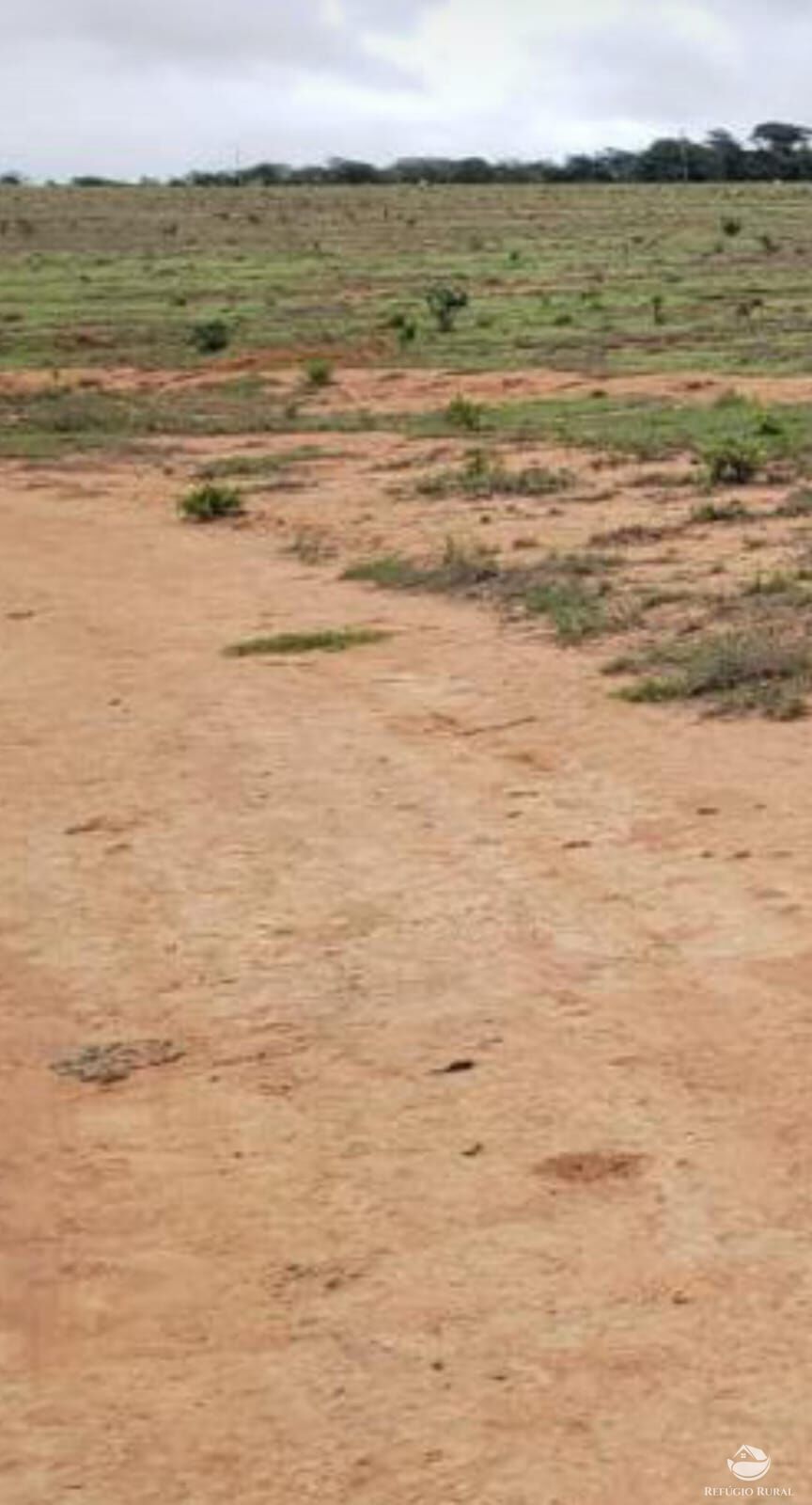 Fazenda à venda com 1 quarto, 12000000m² - Foto 4