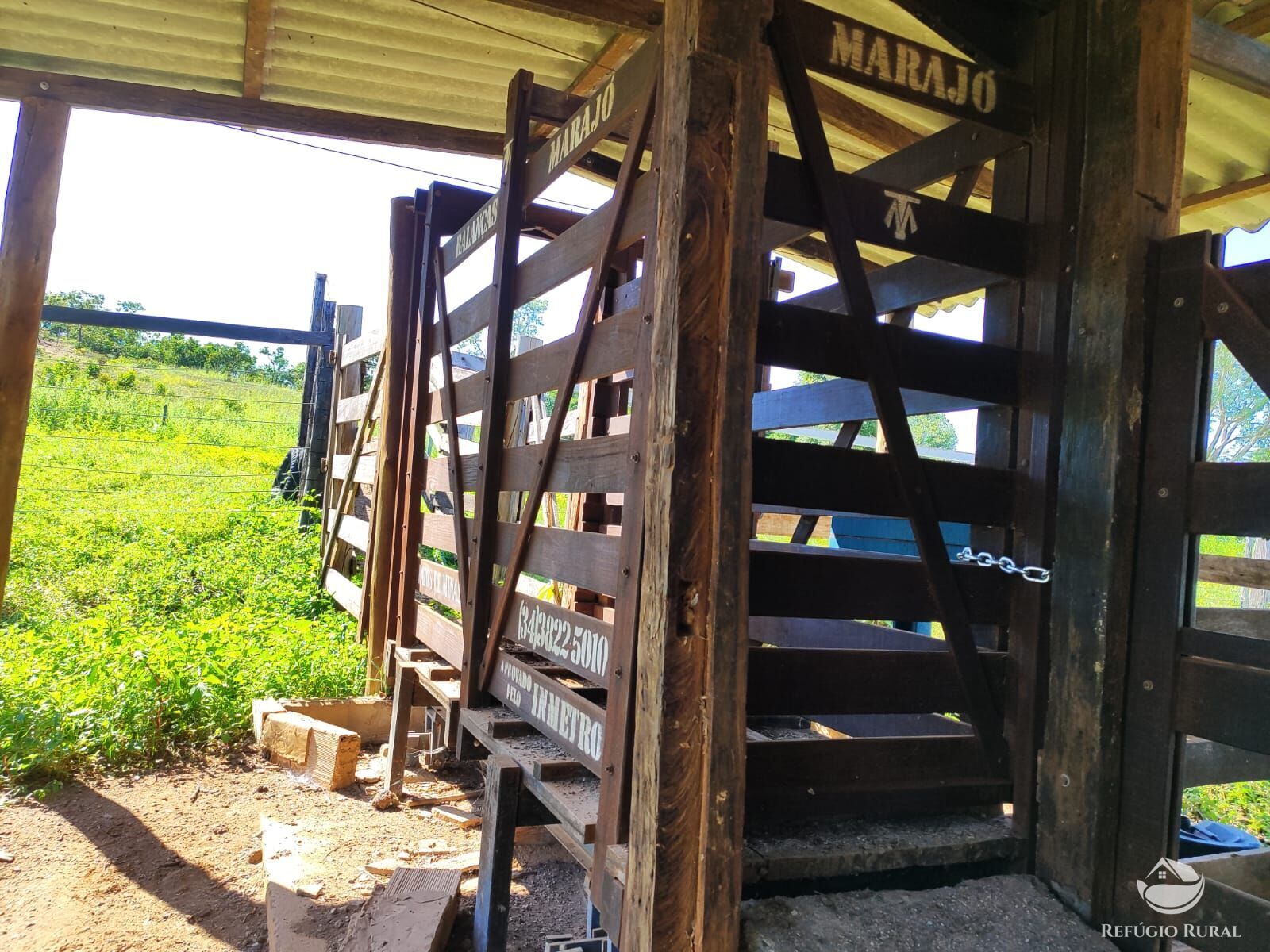 Fazenda, 1300 hectares - Foto 15