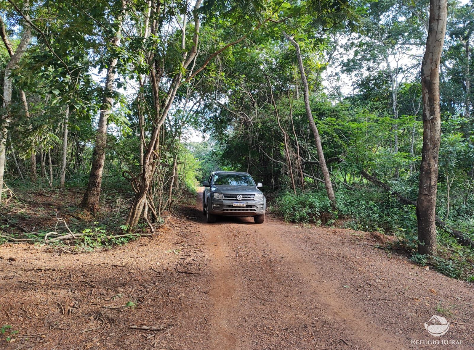 Fazenda, 1300 hectares - Foto 20