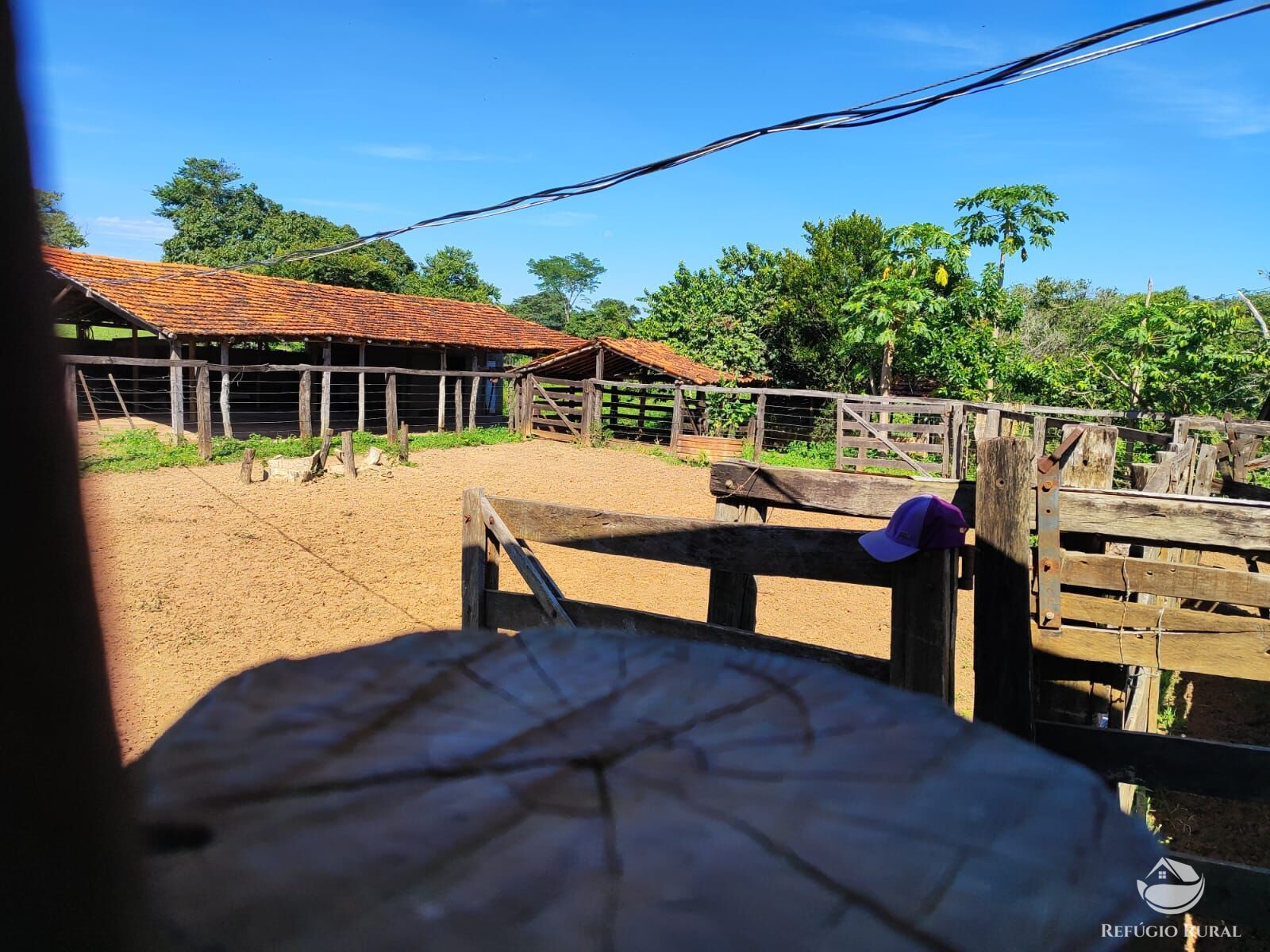 Fazenda, 1300 hectares - Foto 42