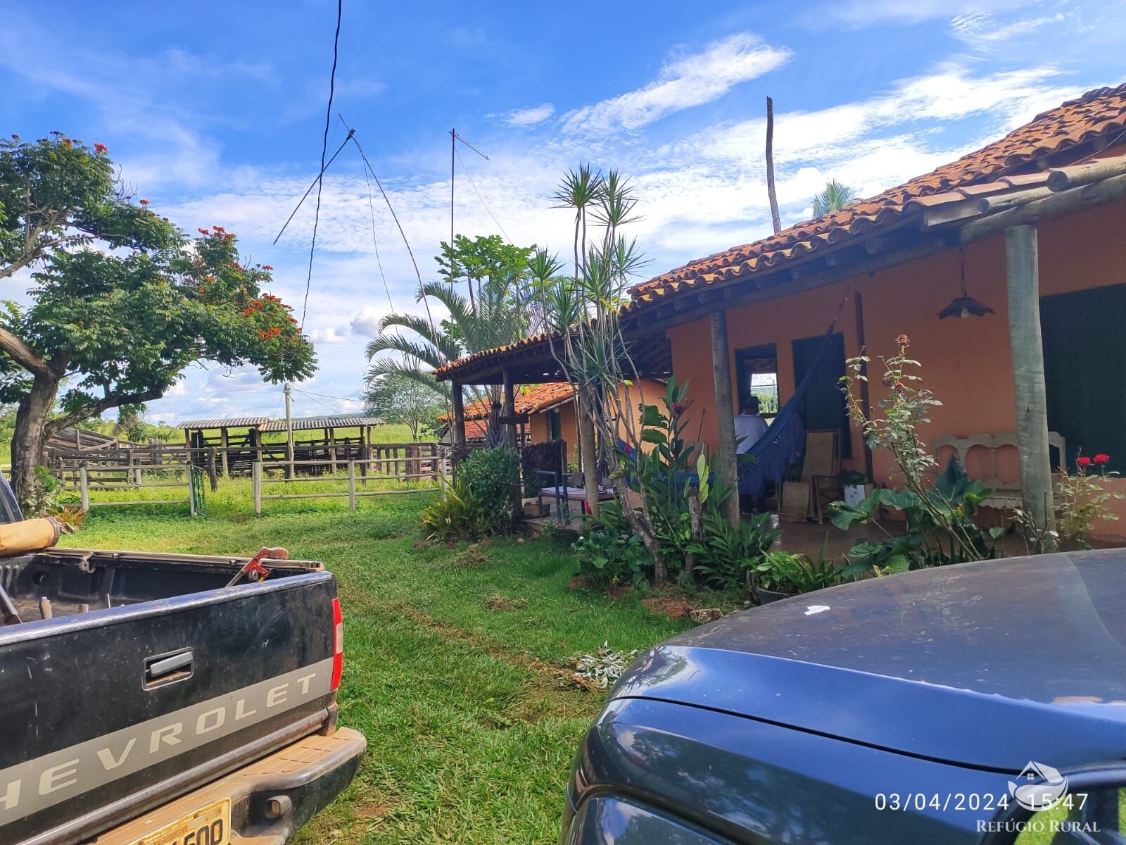 Fazenda, 1300 hectares - Foto 39