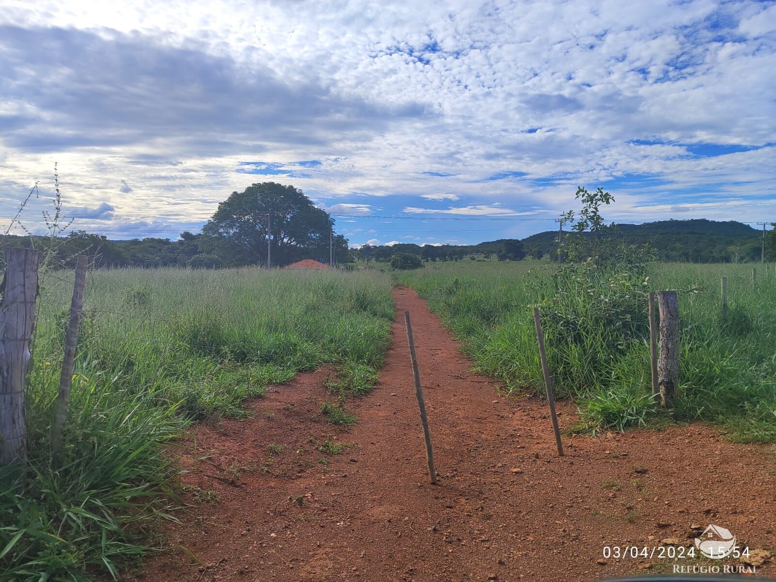 Fazenda, 1300 hectares - Foto 10