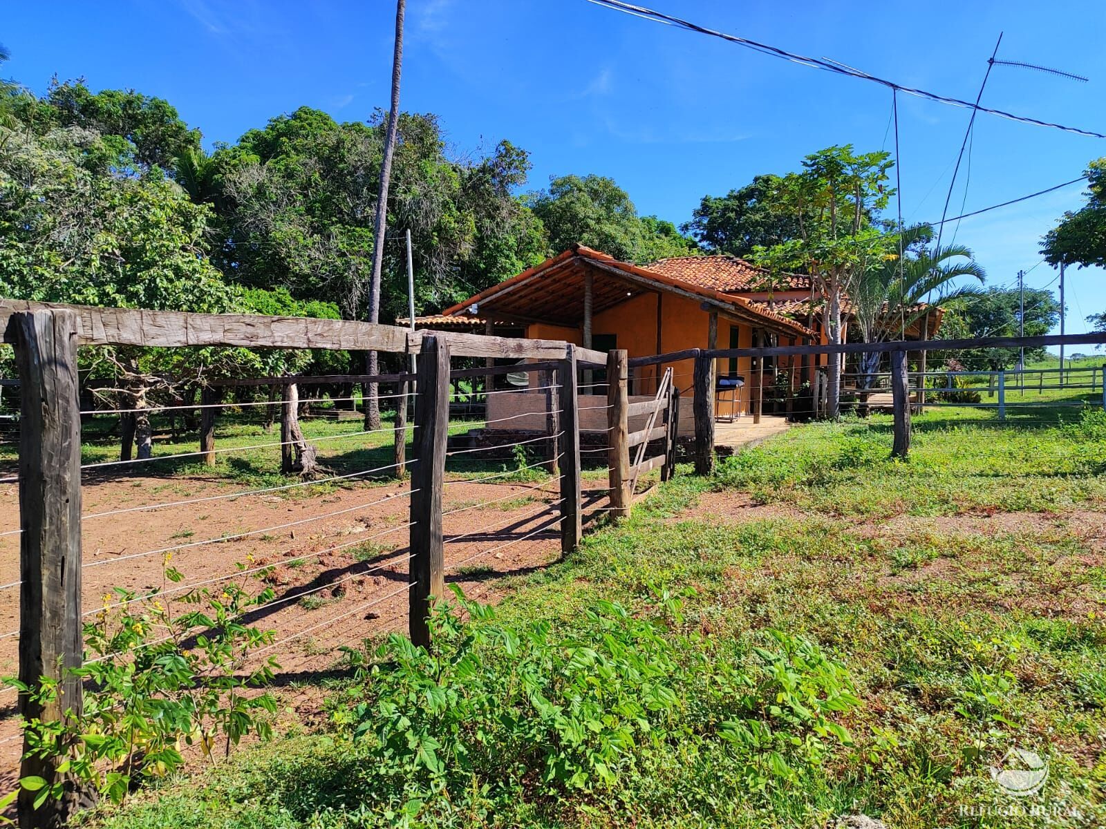 Fazenda, 1300 hectares - Foto 17