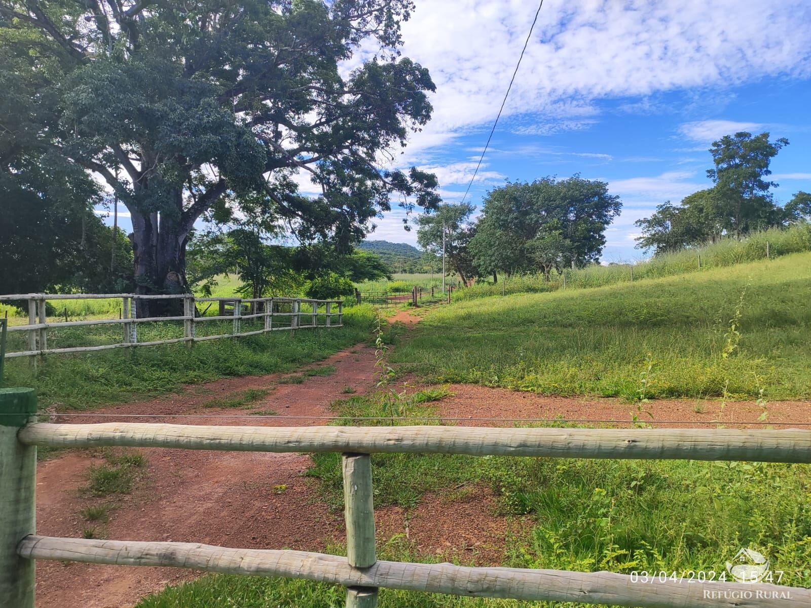 Fazenda, 1300 hectares - Foto 3