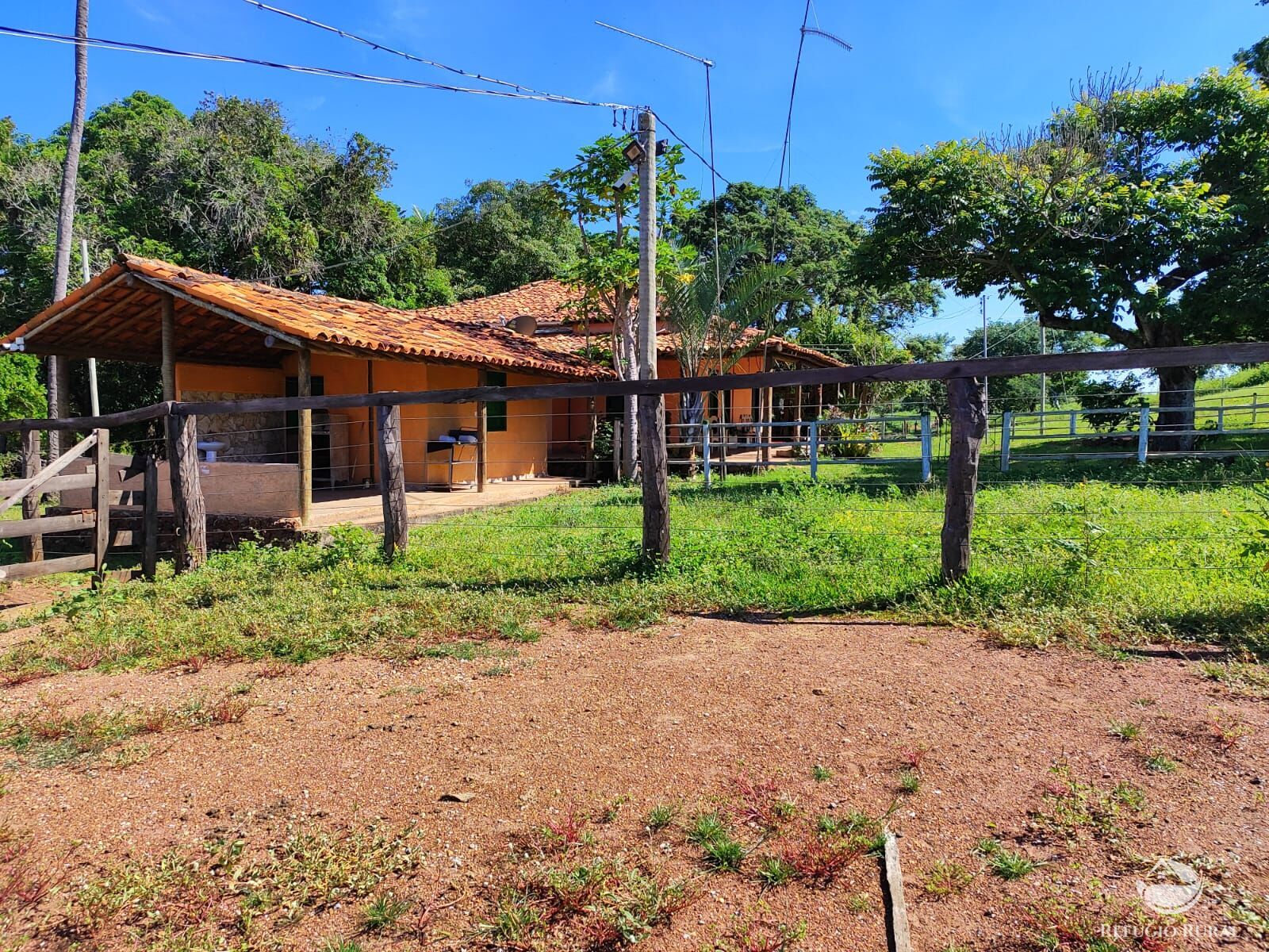 Fazenda, 1300 hectares - Foto 8