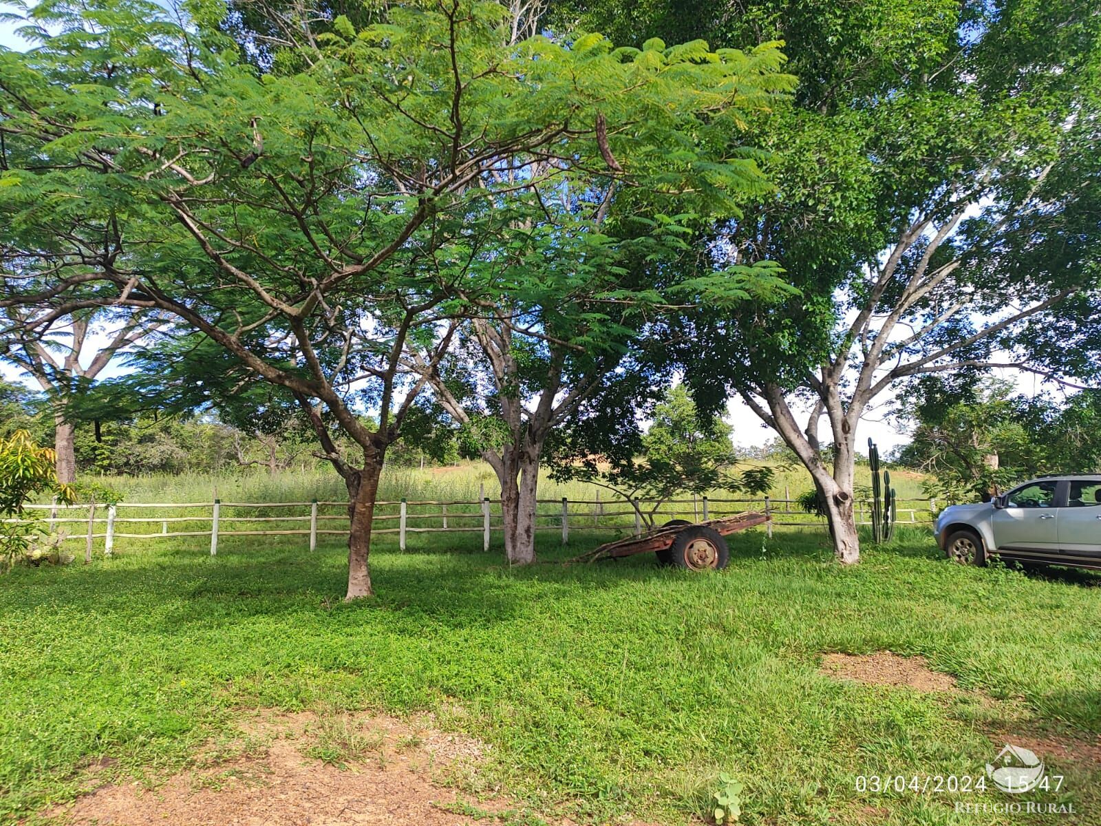 Fazenda, 1300 hectares - Foto 7