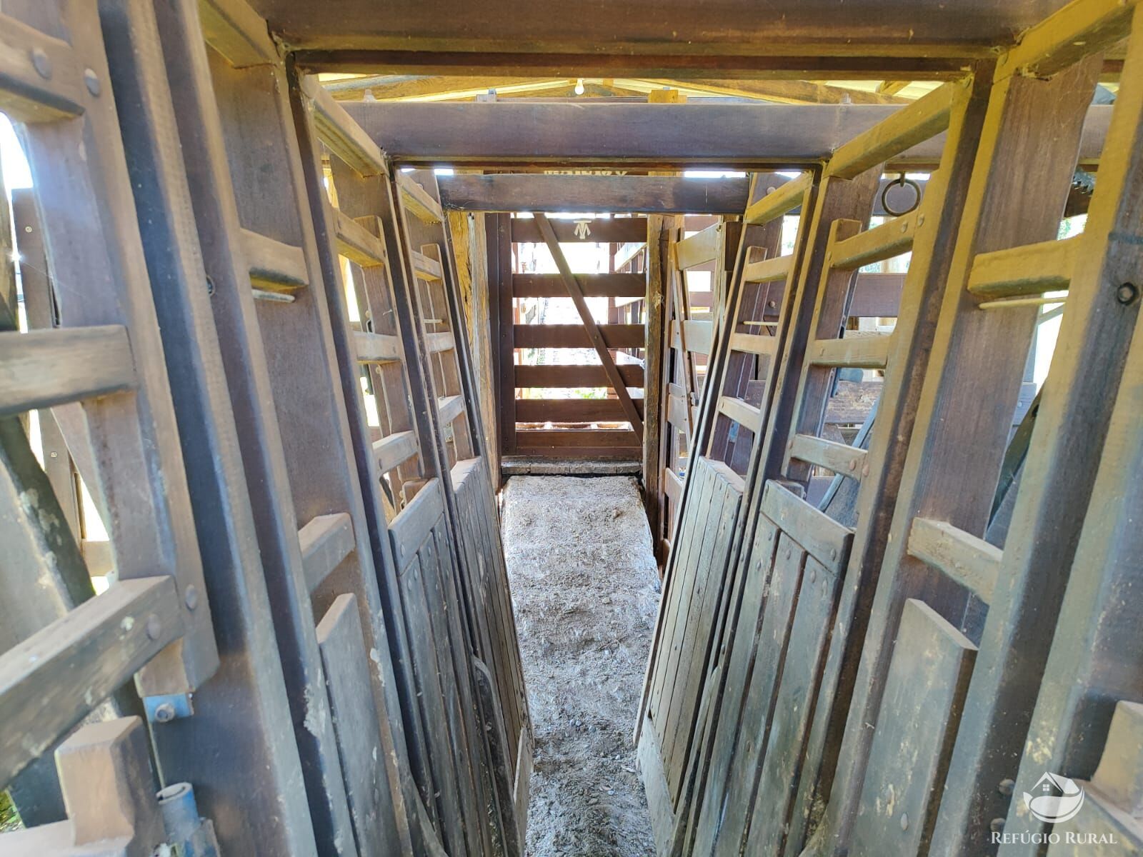 Fazenda, 1300 hectares - Foto 14
