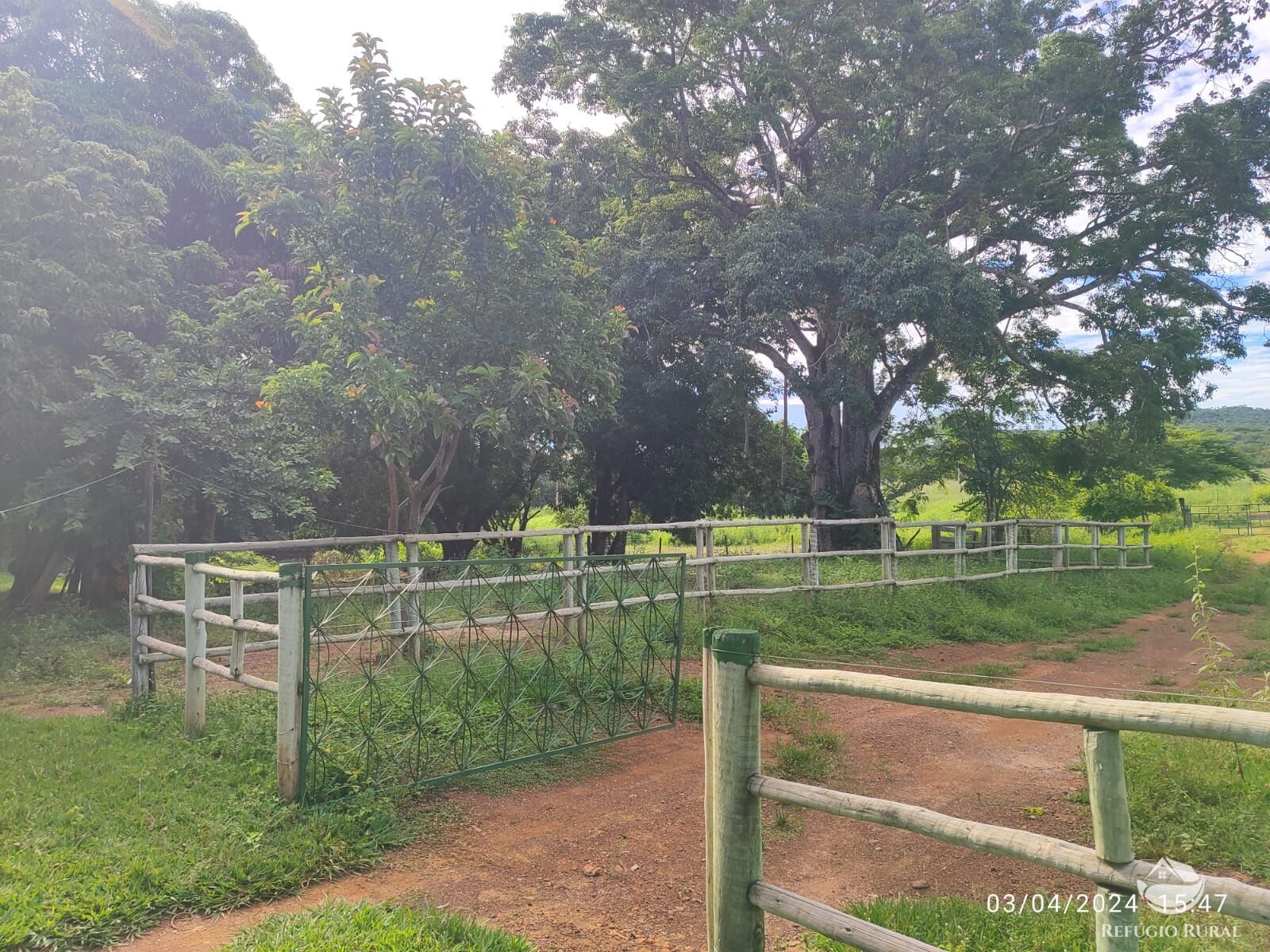 Fazenda, 1300 hectares - Foto 27