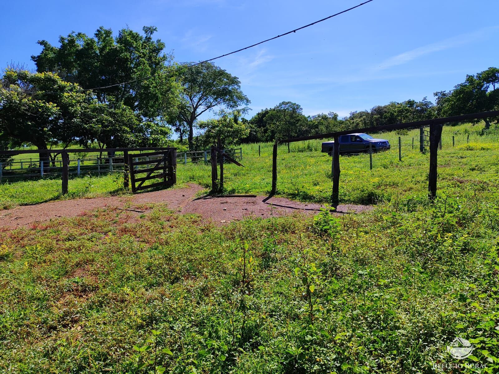 Fazenda, 1300 hectares - Foto 25