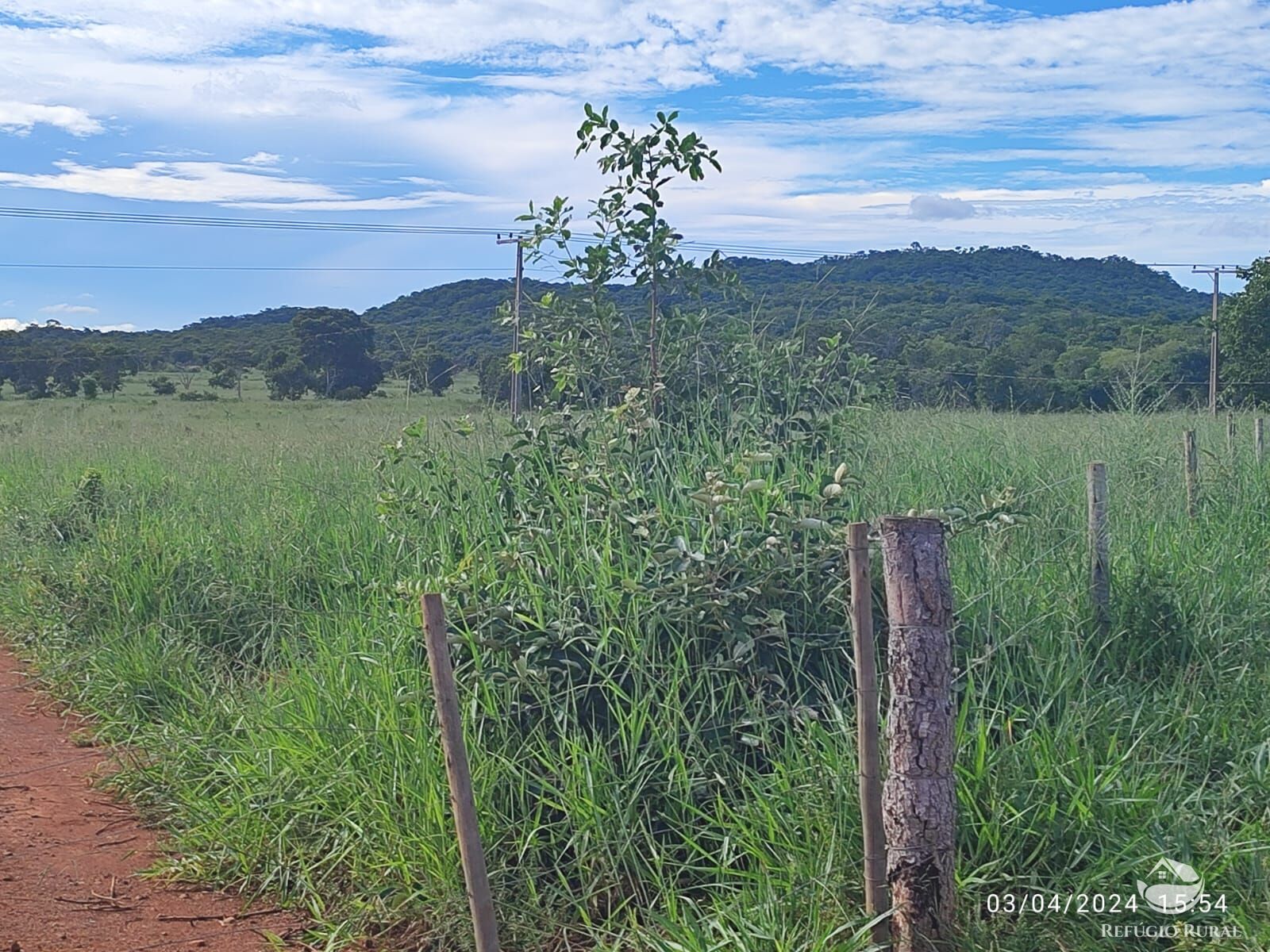 Fazenda, 1300 hectares - Foto 23