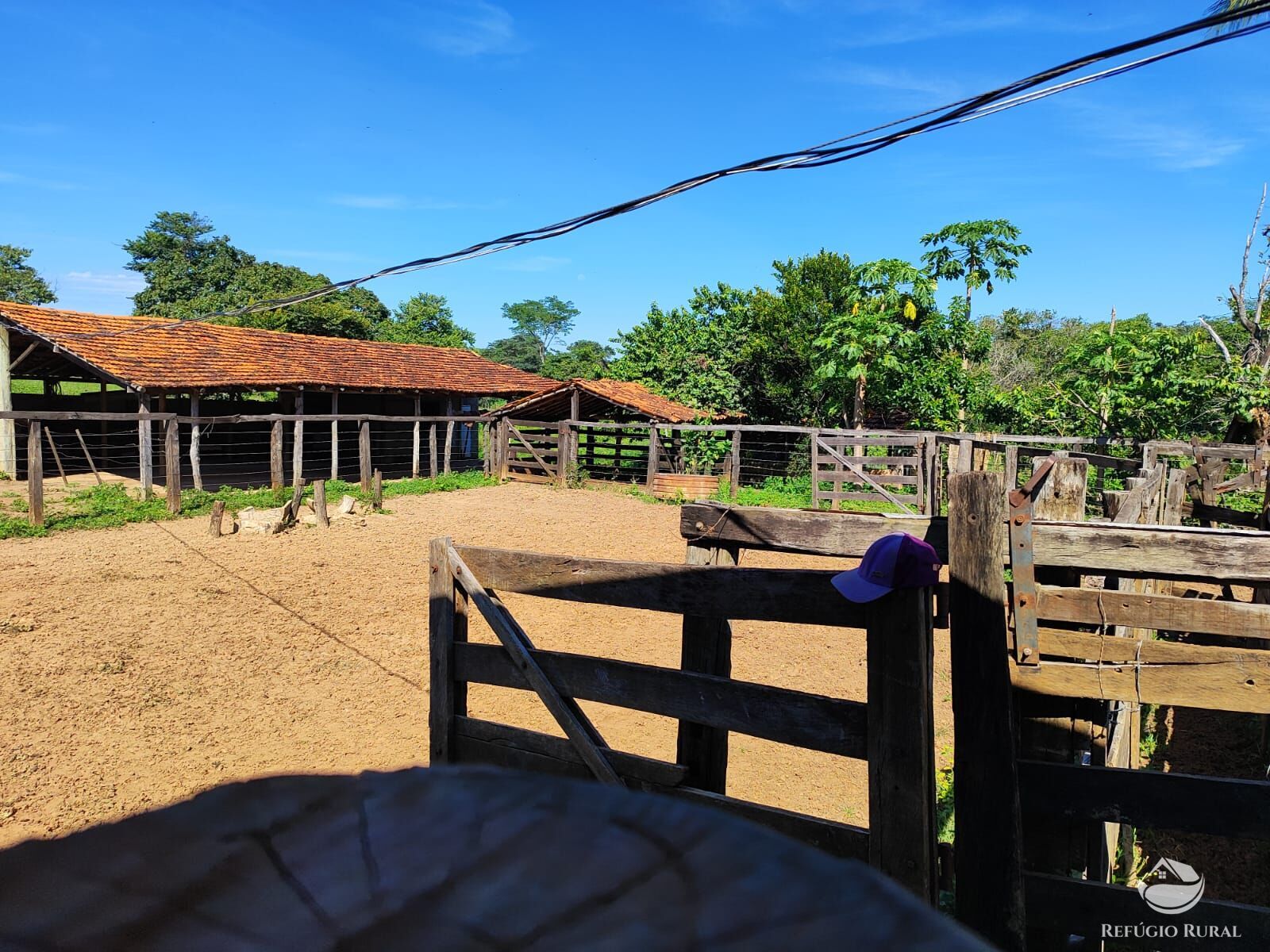 Fazenda, 1300 hectares - Foto 16
