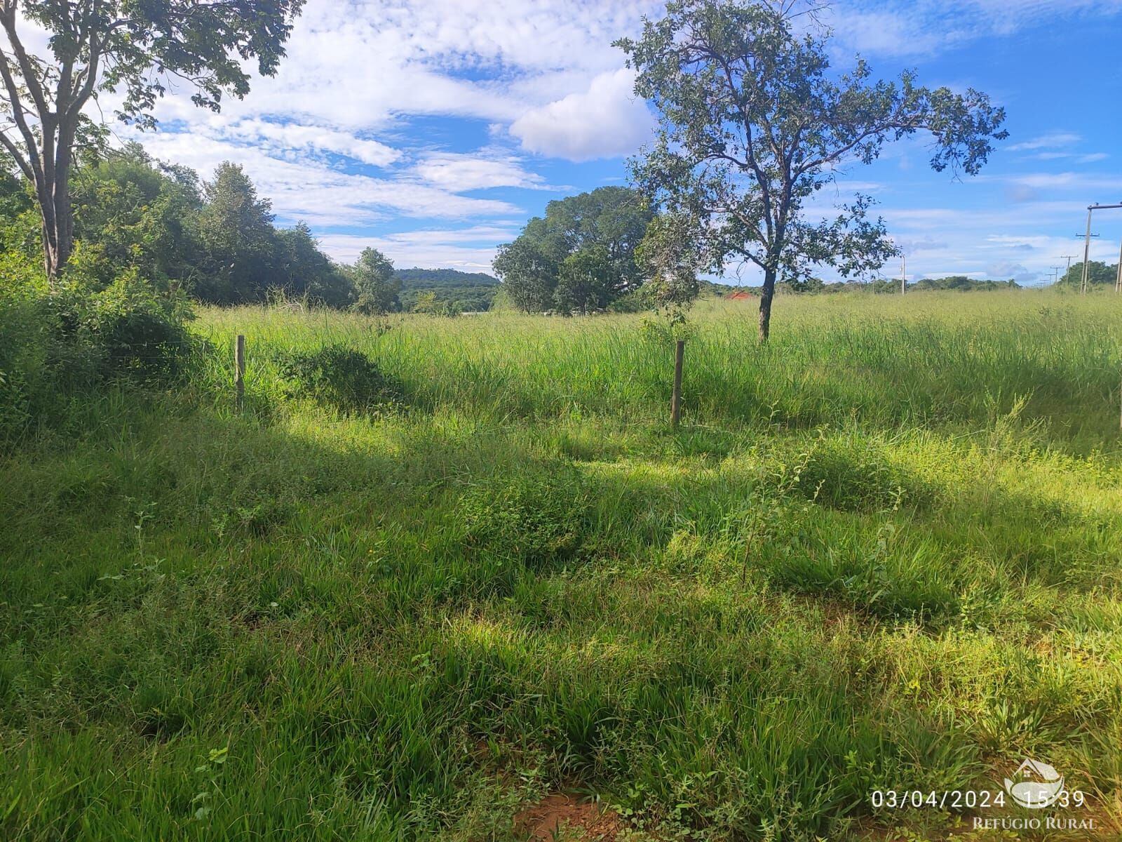 Fazenda, 1300 hectares - Foto 30